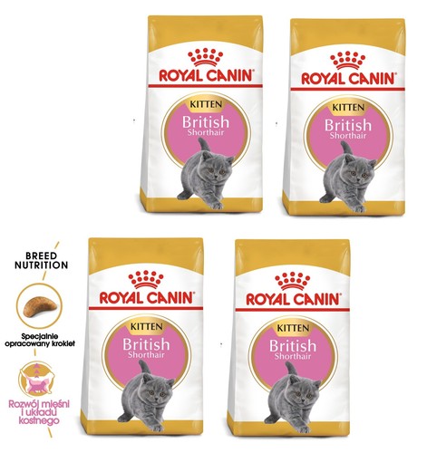 Royal canin kitten - royal,