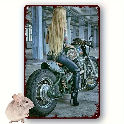 Blechschild sexy girl auf - sexy,