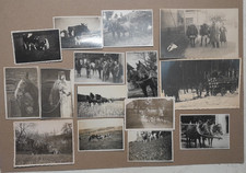 Kleines Fotokonvolut Pferde, Landwirtschaft 1940/50