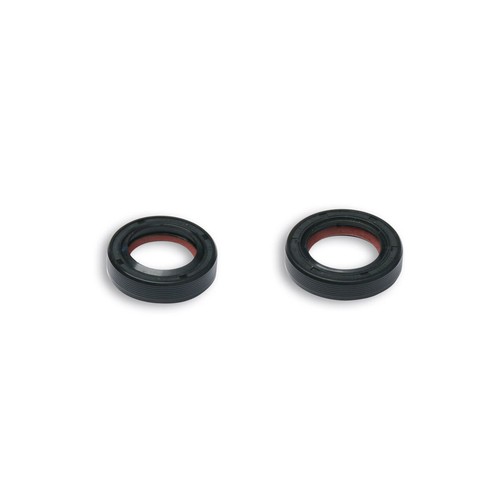 Set wellendichtringe malossi - wellendichtringe,