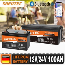 LiFePO4 Akku 12V/24V 100Ah