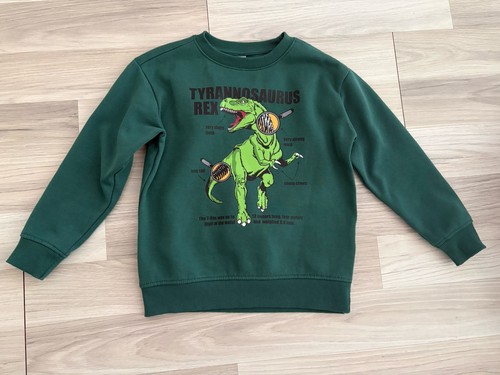 Dopodopo pullover rex gr - pullover, t-rex,