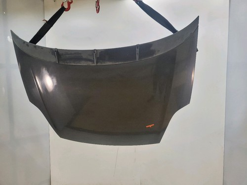 Motorhaube fiat punto evo - fiat,