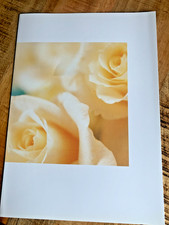 Schmuckkarte Schmuckblatt