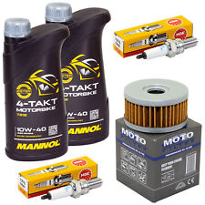 Inspektion Set Öl 2L für