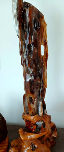 Versteinertes holz indonesien - versteinertes,