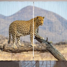 Leopard Rustikale Gardine Unscharfer Hintergrund Fierce