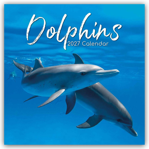 Dolphins delfine - delfine, –