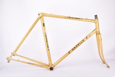 Gazelle Champion Mondial frame
