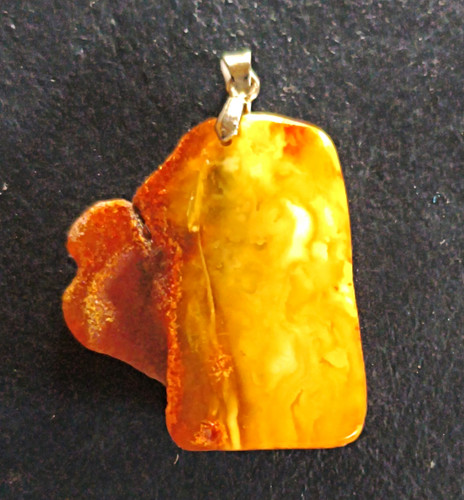 Bernstein fossil anhänger - anhänger, mit