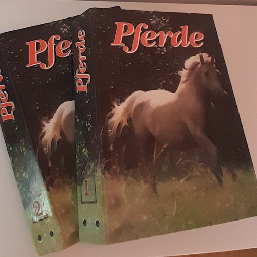 Pferde richtig verstehen