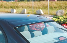 Rieger heckscheibenblende heck - heckscheibenblende,