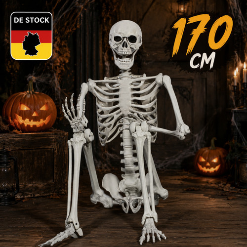 Skelett halloween lebensgroß - skelett,