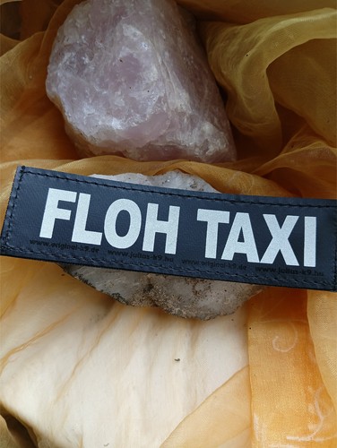 Flohtaxi klettlogo x - klettlogo, 11