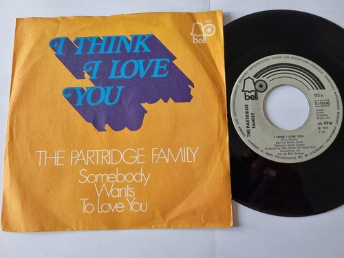 Partridge family david - family/,