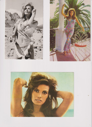 Raquel welch fotografien auf - raquel,
