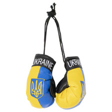 Mini Boxhandschuhe für Auto