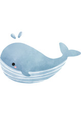5x car sticker whale sticker