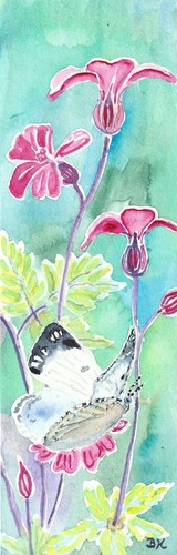 Schmetterling - , im