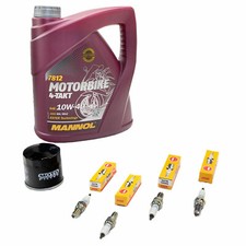 5L Öl Inspektion Paket für