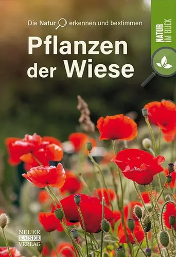 Pflanzen der wiese - der, natur