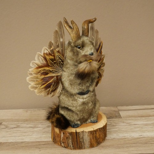 Wolpertinger murmel präparat - wolpertinger,
