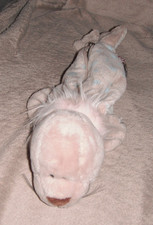 Nici Robbe Schlampermäppchen ca. 31cm lang