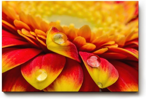 Sinus art wandbild intensive - art,