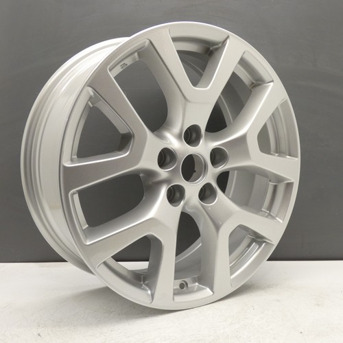 Nissan trail silber - nissan, x