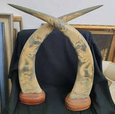 ? Büffelhörner paar geschnitzt Deko Antique Vintage 60cm ?