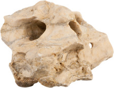 sera Rock Hole Stone Gr.L 2-3