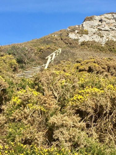 Foto 6x4 holztreppe - 6x4,