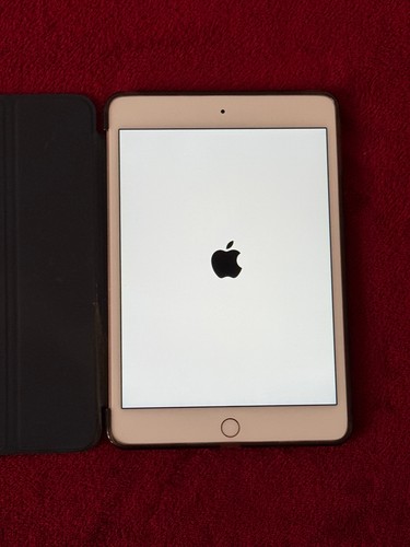 Ipad mini 64gb - mini, 4