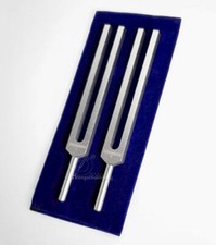 2er Schumann Resonanz