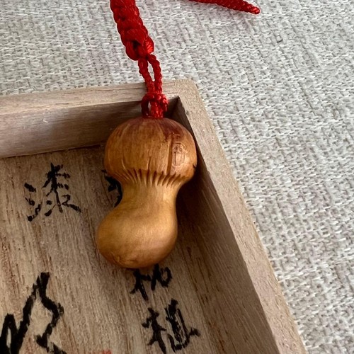 Japanischer asakuma buchsbaum - japanischer,