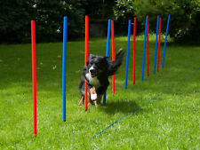 Agility Slalom Hunde-Training