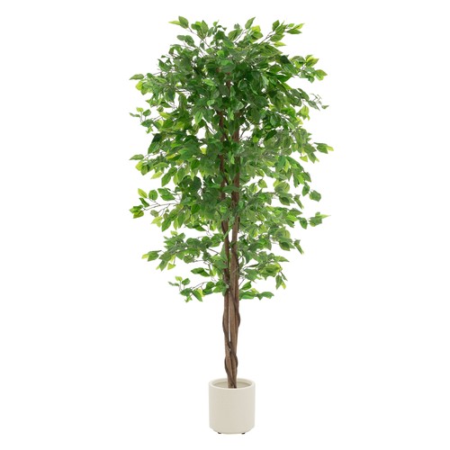 Künstlicher ficusbaum - künstlicher,