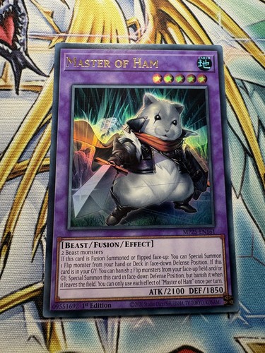 Yugioh master ham - master,