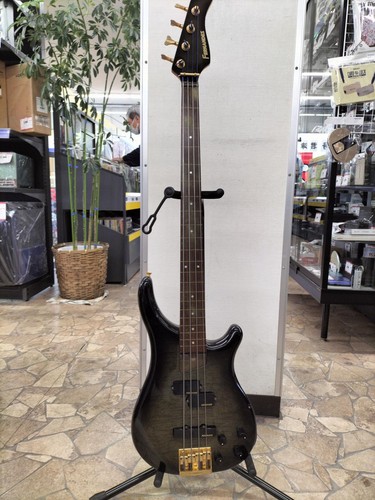 Fernandes fretless bass - fretless,