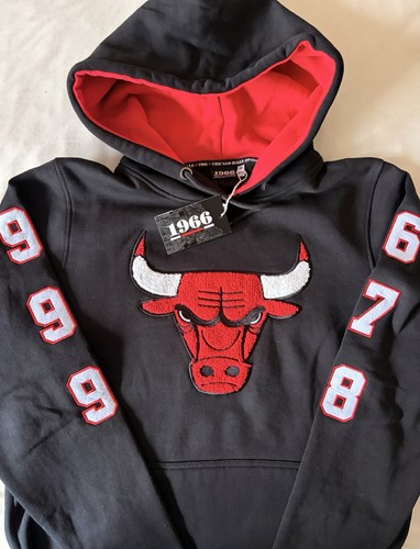 Chicago bulls champions - x,