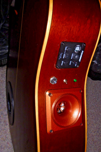 Tanglewood gitarre mit - tanglewood,