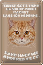 Blechschild Katze 20x30cm