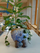 Pflanztopf Blumentopf