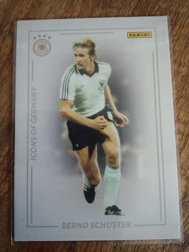 Panini dfb team - dfb, 2024