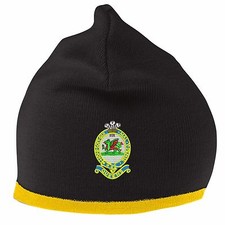 OFFICIAL Queens Regiment