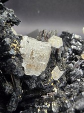 Turmalin-Goshenit aus Davib Ost Erongo Namibia Fundjahr 2013