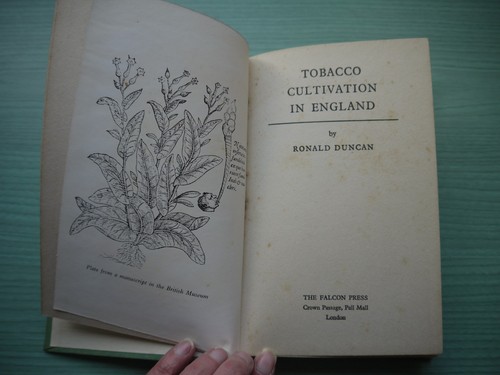Tobacco cultivation england - tobacco, in