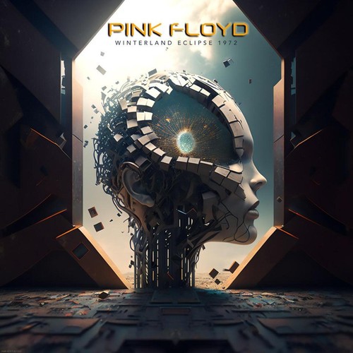 Pink floyd winterland - floyd,