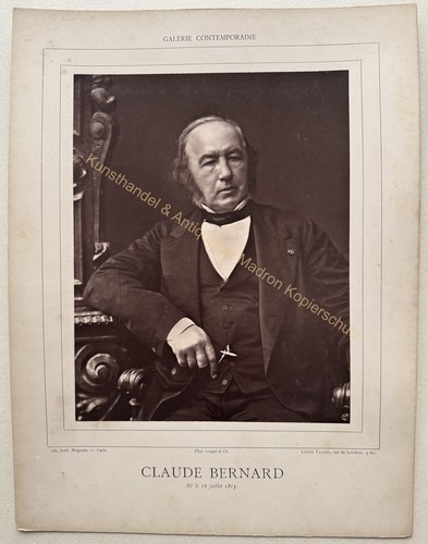 Orig foto fotografie - foto,