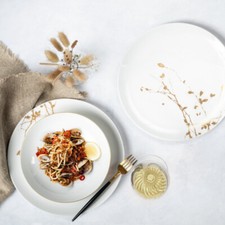 Seltmann Weiden Liberty